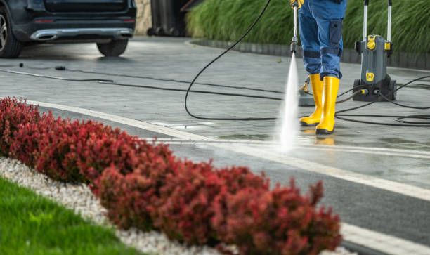 Best Animal Enclosure Cleaning  in Lago Vista, TX